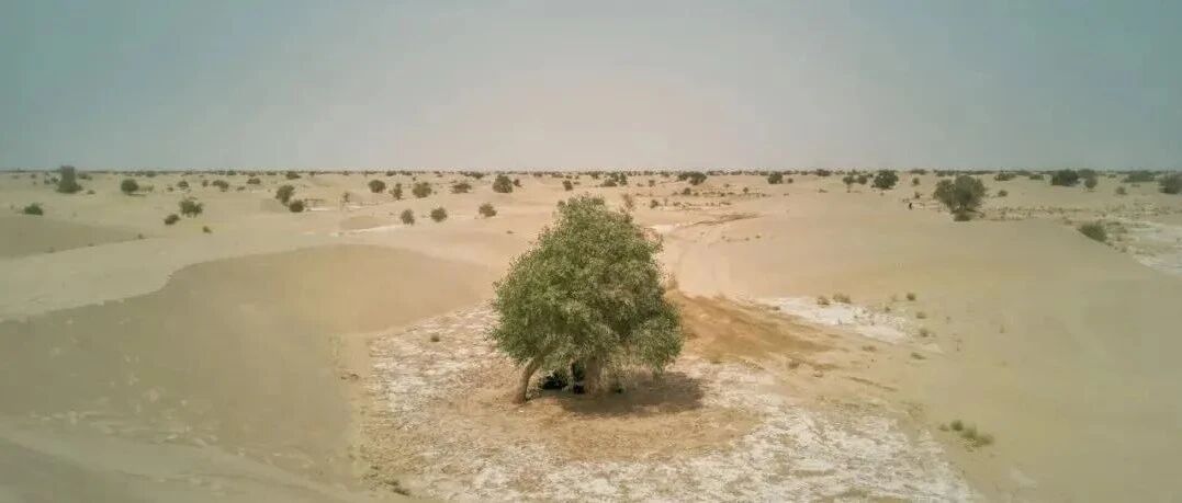 中国唯一嵌入沙漠的县城，早该火了