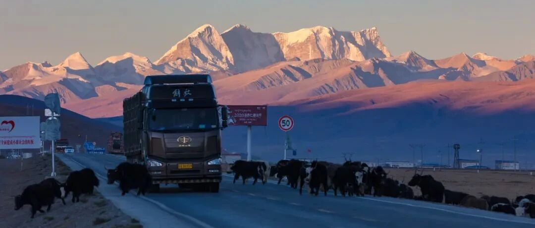 都去青藏高原净化心灵，谁来净化青藏高原？