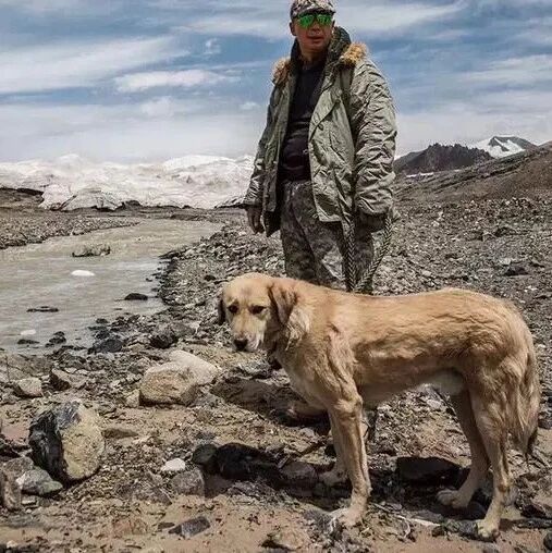无人区发现流浪狗，两天追车90公里，它真的不是一般狗