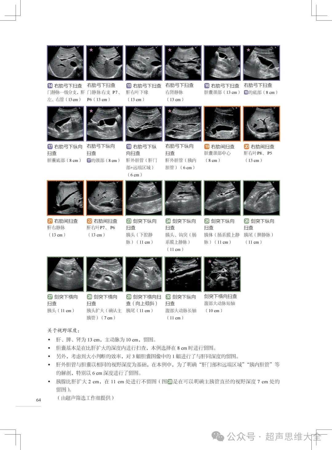 腹部脏器超声扫查要点（含报告）