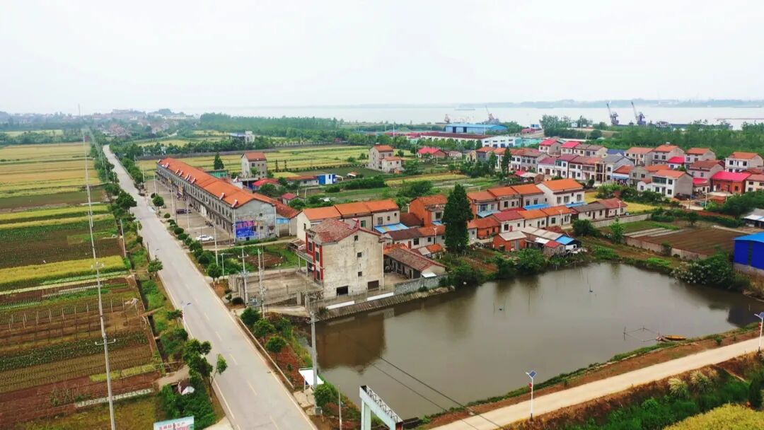 临湘市江南镇鸭栏村:真抓实干促整治 乡村蜕变展新颜