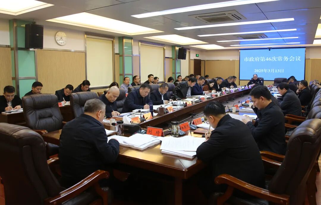 3.13市长，第四十六次常务会IMG_0740.jpg