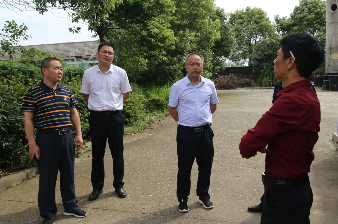 临湘市刘琦赴江南镇调研当前重点工作