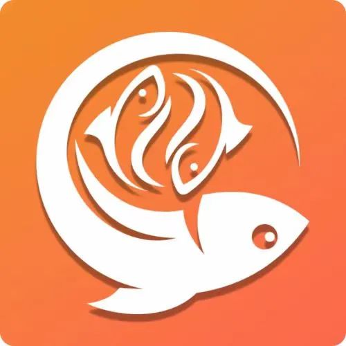 三只鱼网络