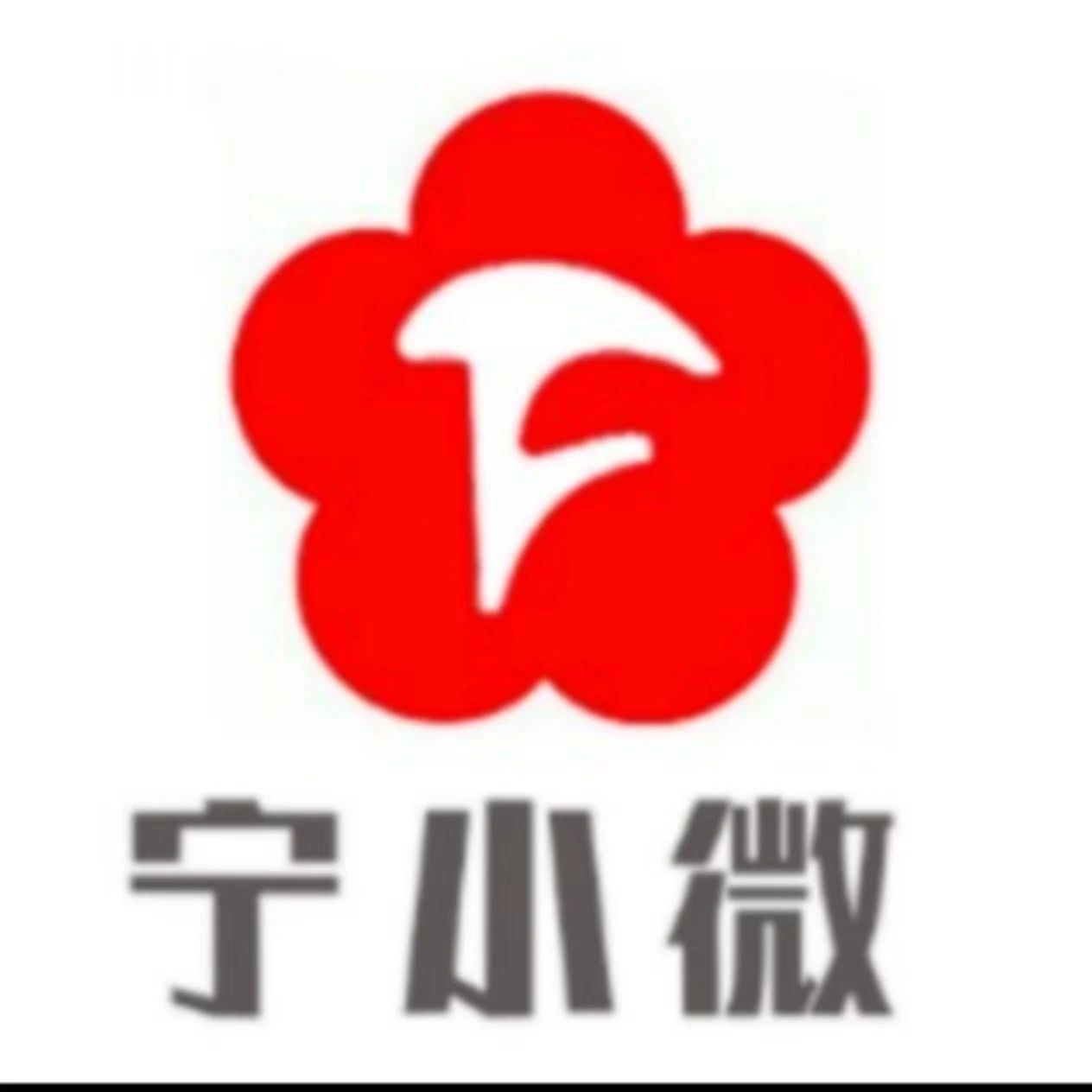 宁小微