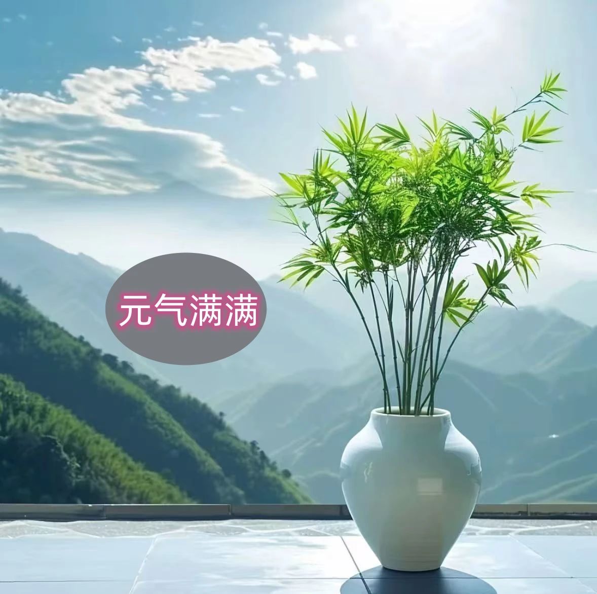 元气满满