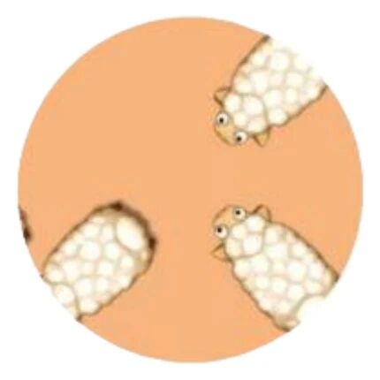 广州沐琨科技有限公司