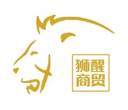 狮醒计算机应用技术服务