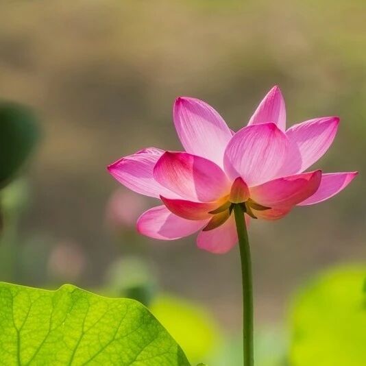 保定市泰恒机动车检测有限公司