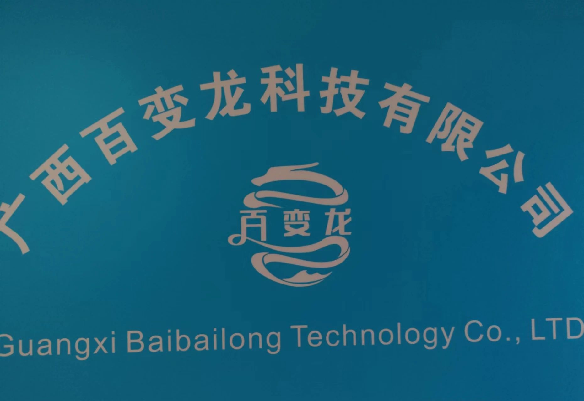 广西百变龙科技有限公司