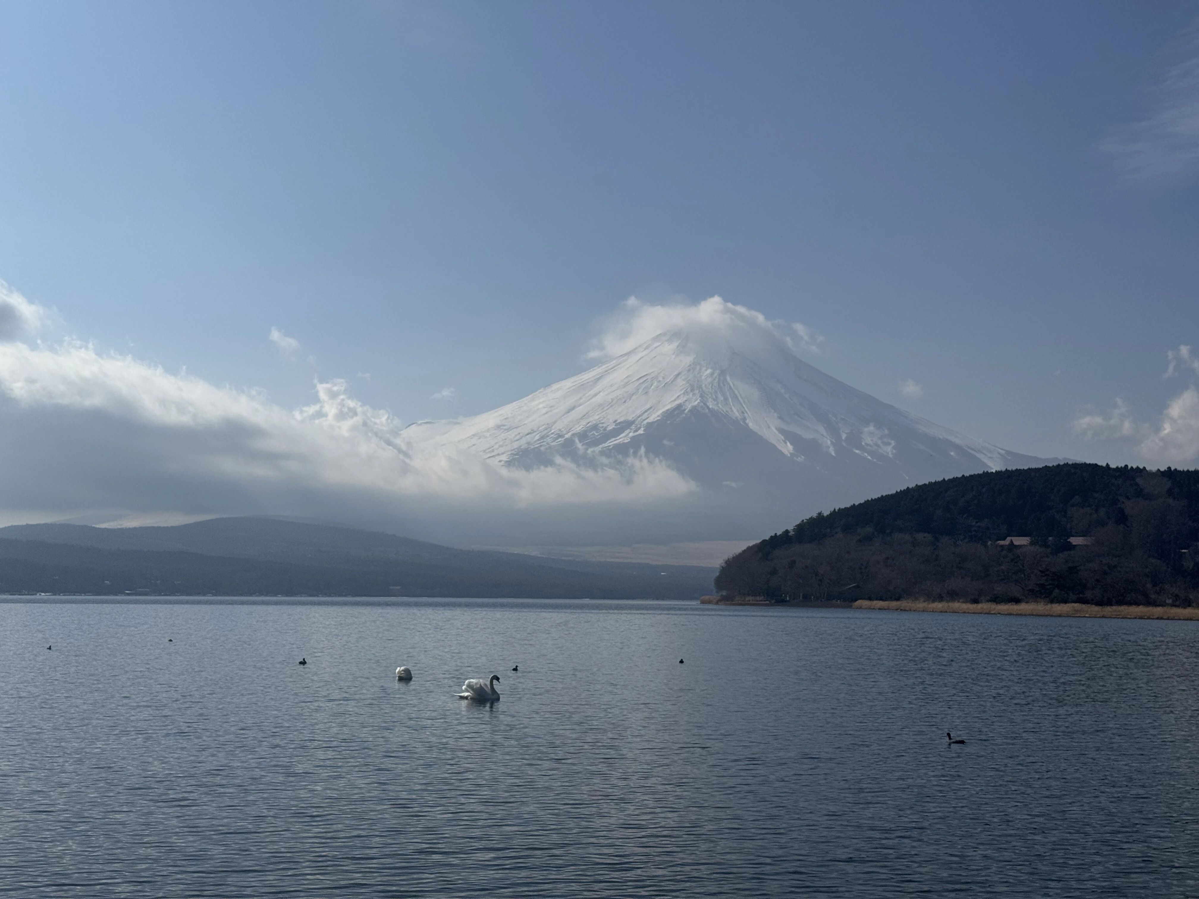 江苏腾捷网络科技有限公司