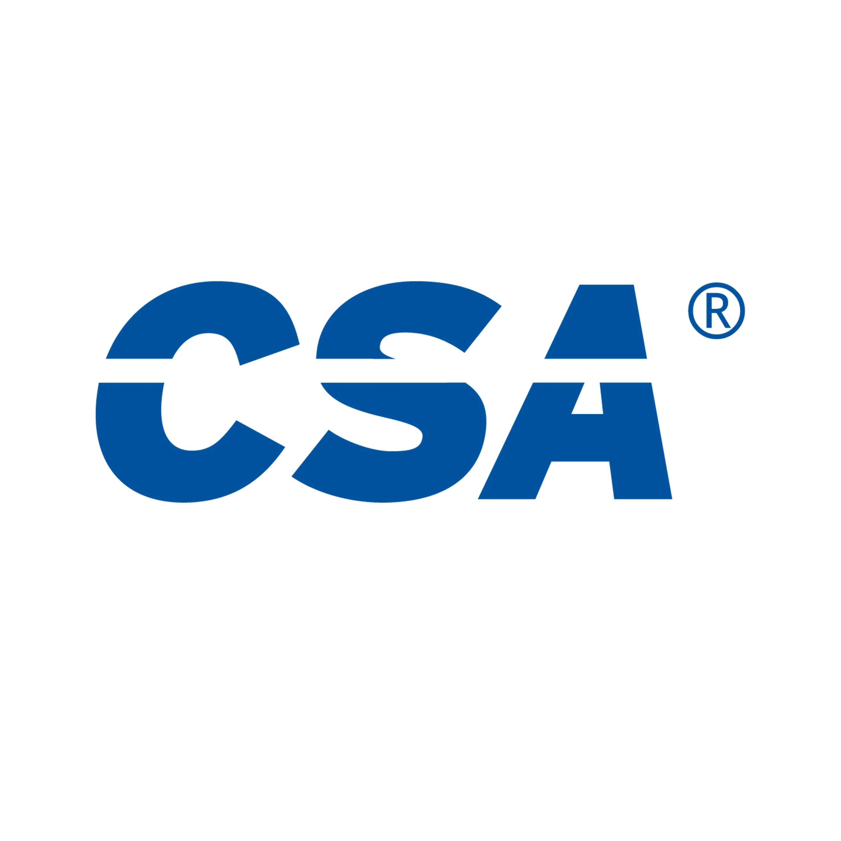 云安全联盟大中华区