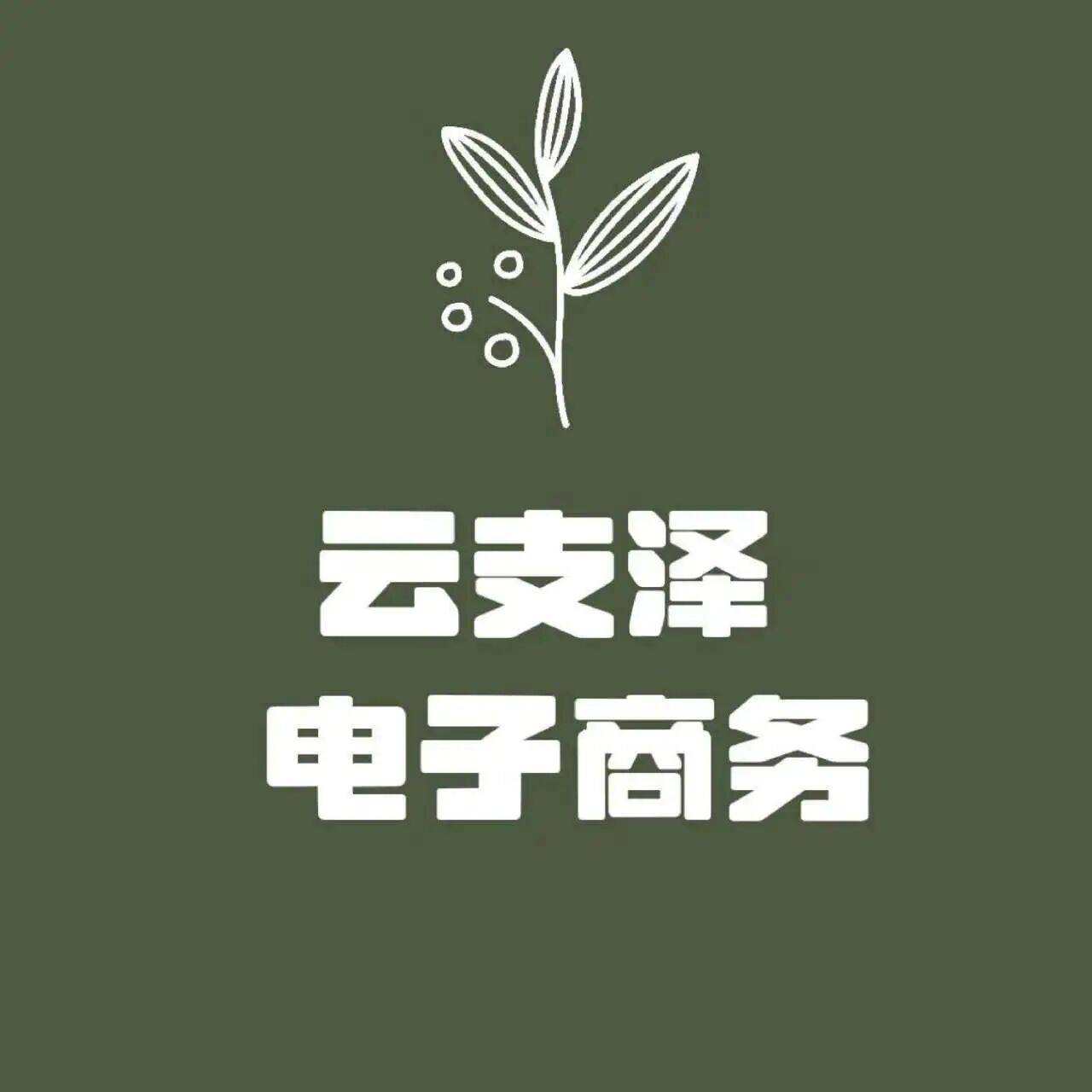 云支泽电子商务