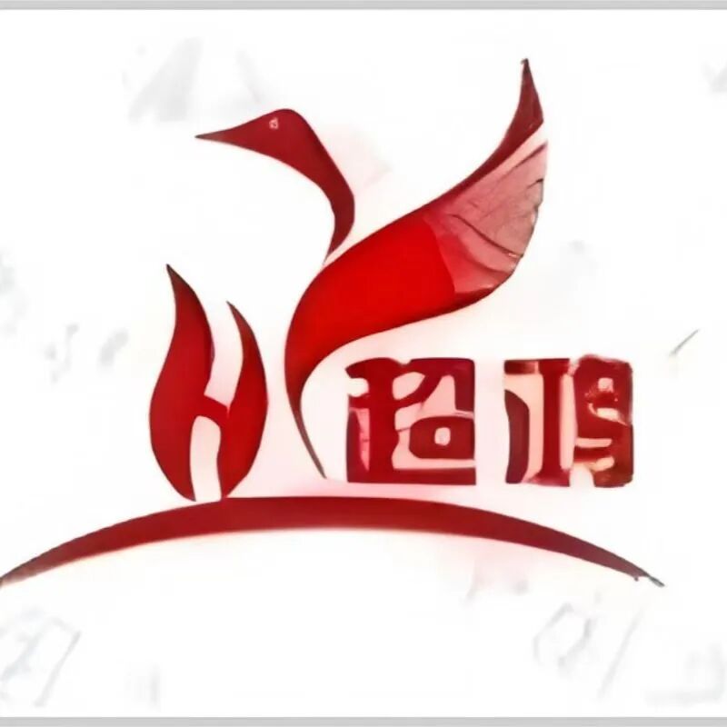 深圳市超鸿进出口有限公司