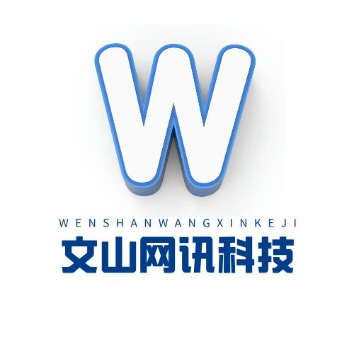 文山网讯科技
