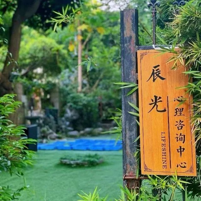 深圳辰光心科技有限公司