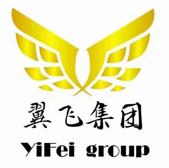 山东翼飞集团