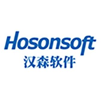 汉森软件