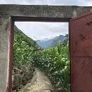 Li 培再
