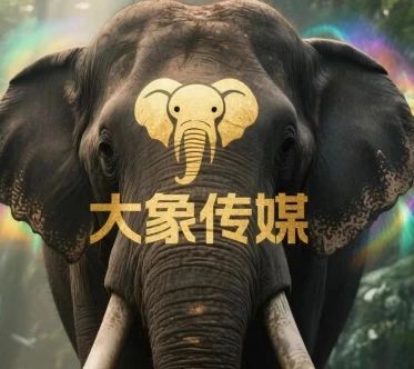 大象传媒