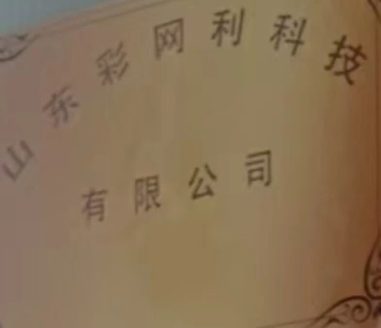 山东彩网利科技有限公司