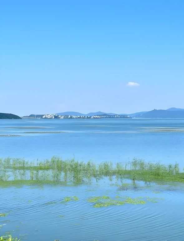 赛兔运维