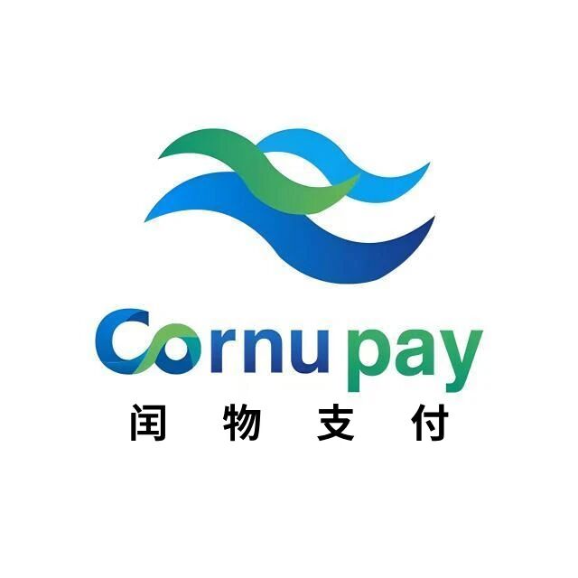 新疆闰物支付服务有限公司