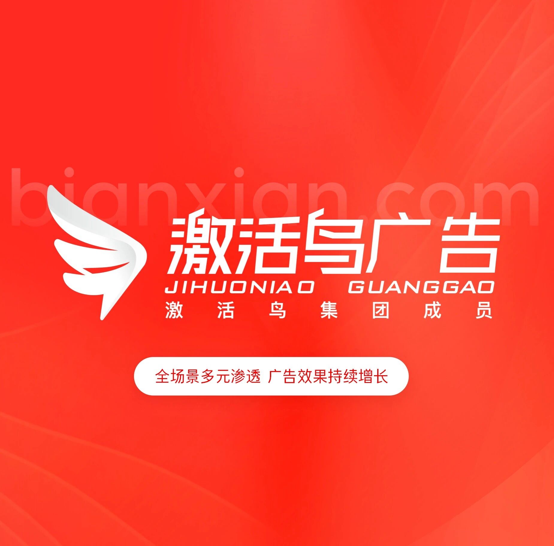 上海激活鸟网络科技有限公司