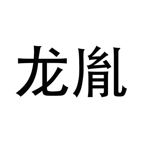 龙胤网络