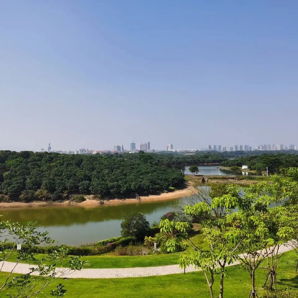 陕西新中新华科