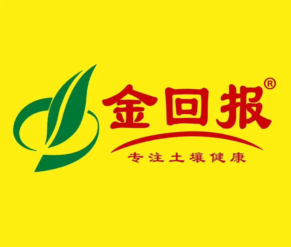 金回报
