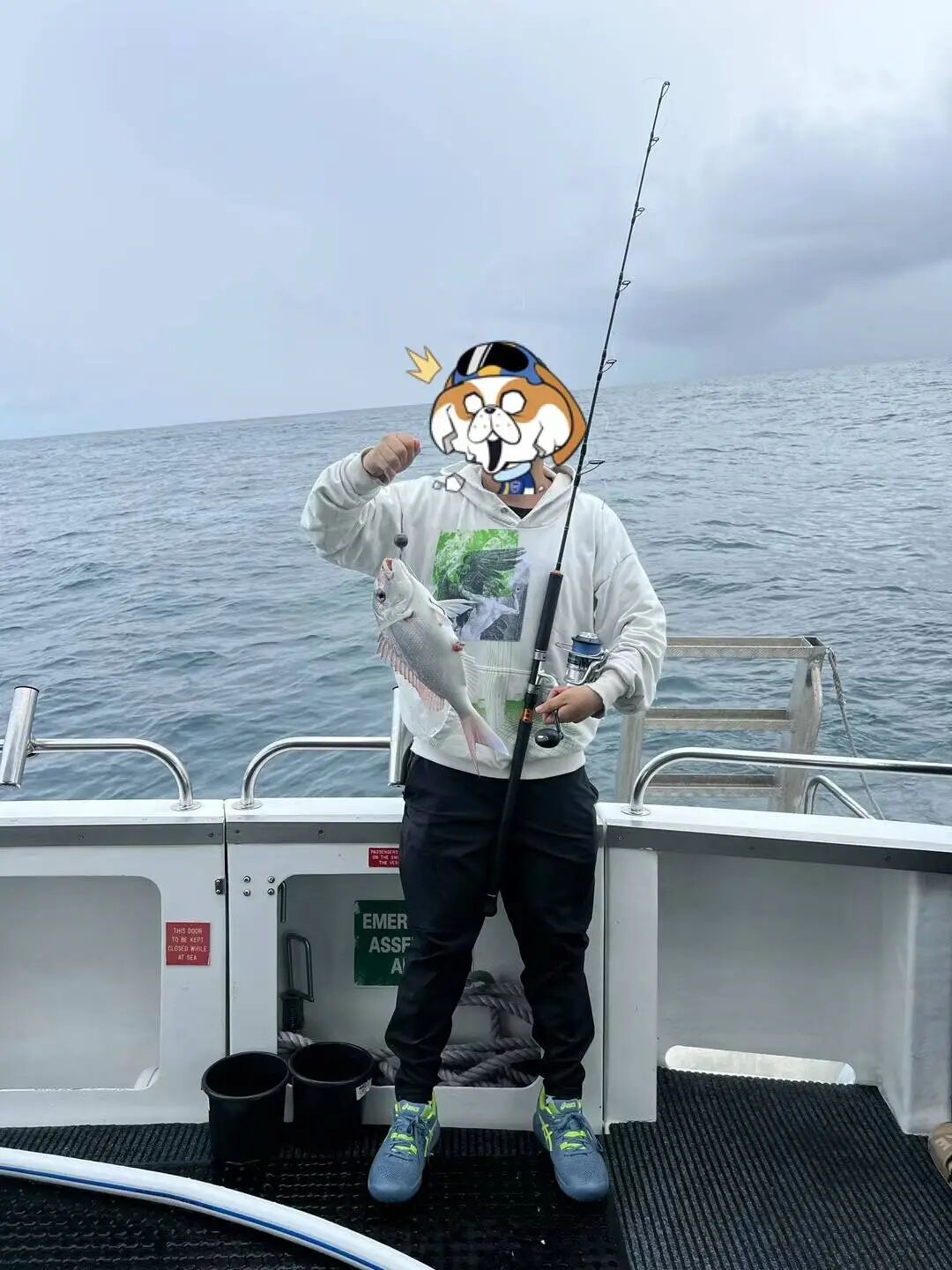 后劲太大了,到现在没缓过来