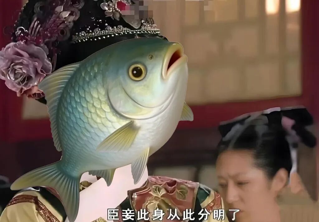 京东和天猫哪个货更真