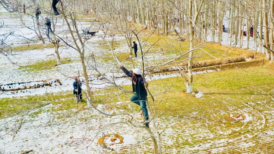 田间地头农事忙 和田县春耕备耕正当时 -天山网 - 新疆新闻门户