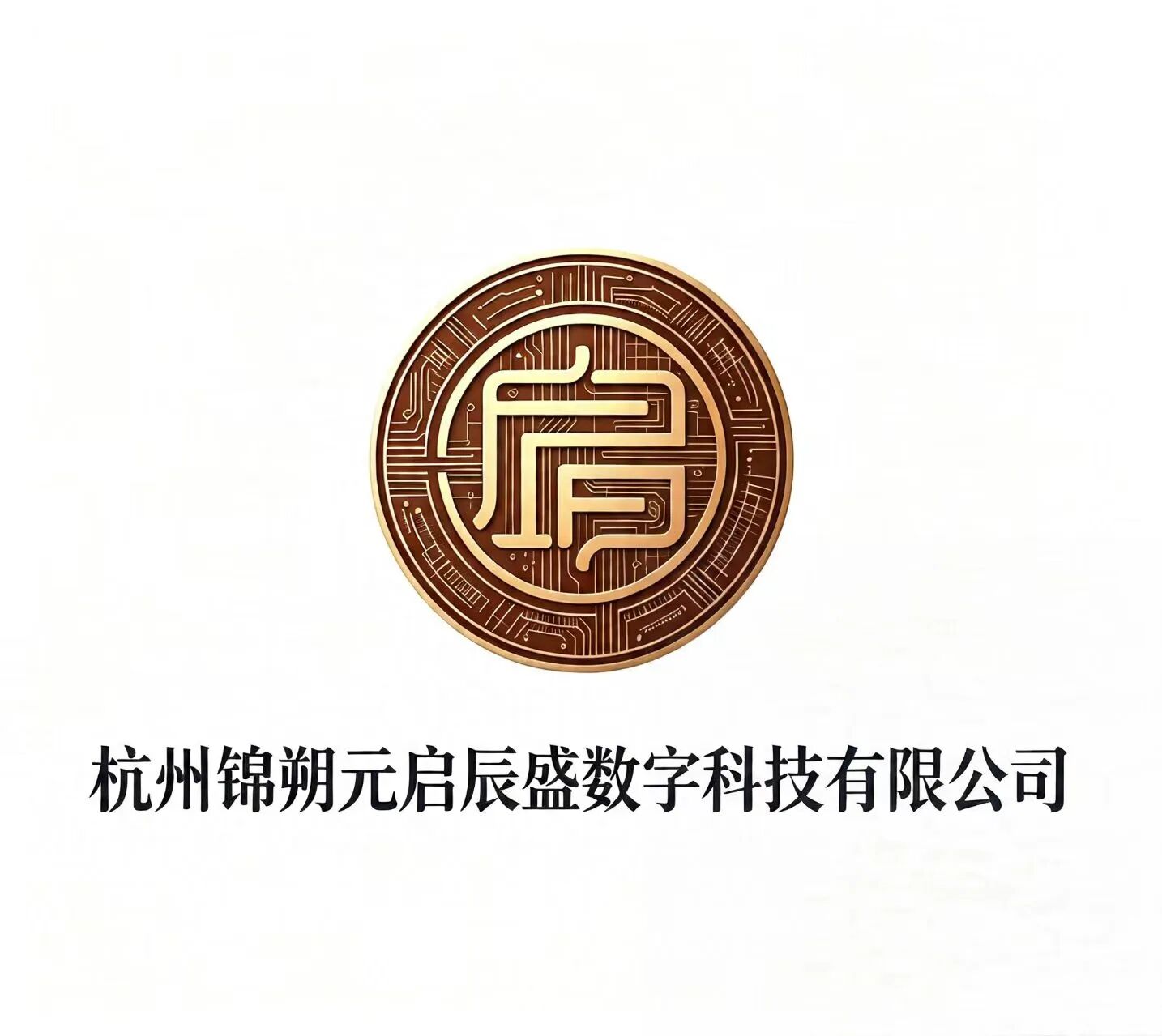 杭州锦朔元启辰盛数字科技