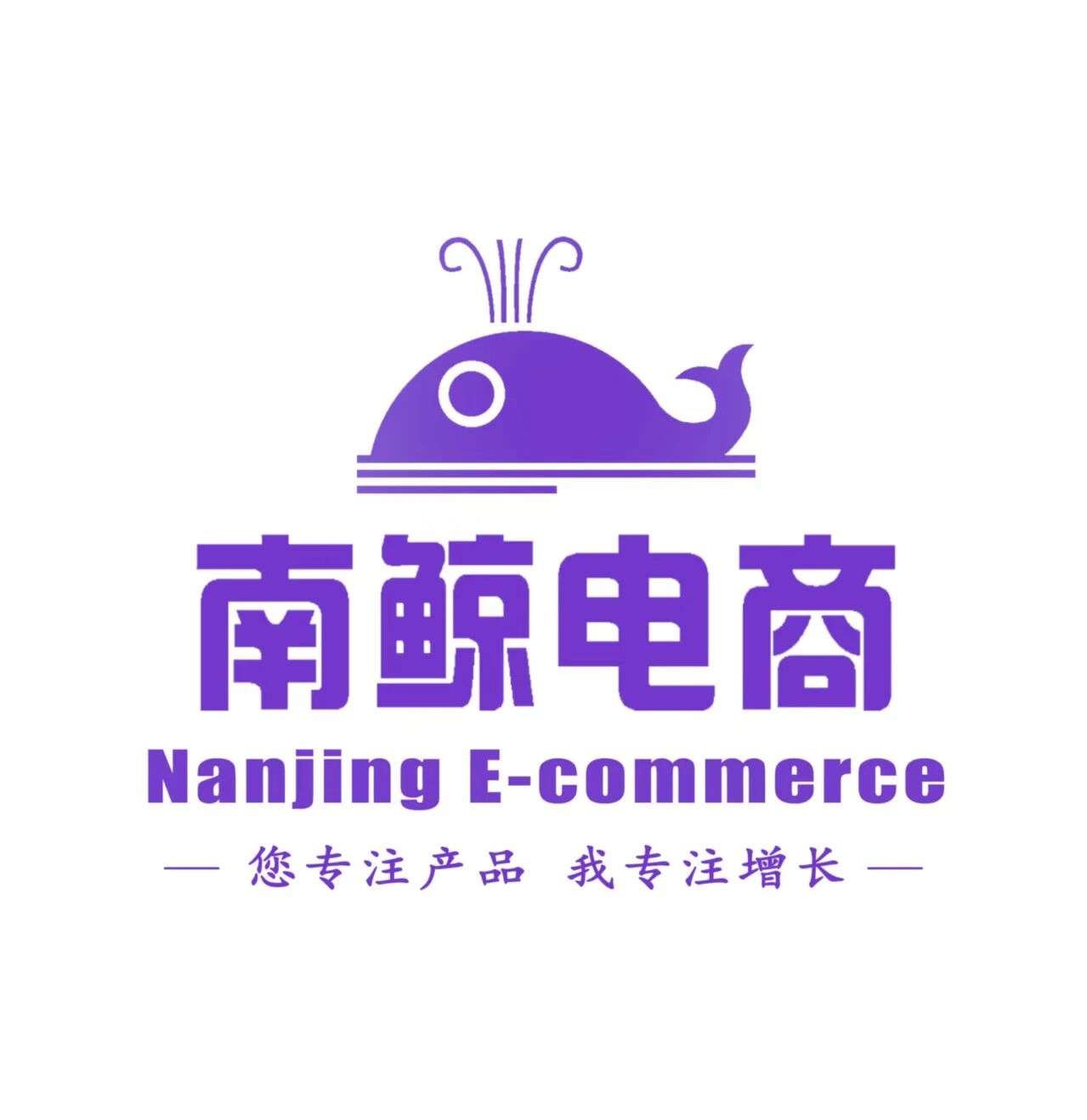 南鲸电商