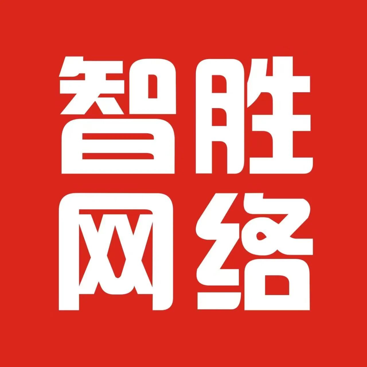乐山智胜网络科技