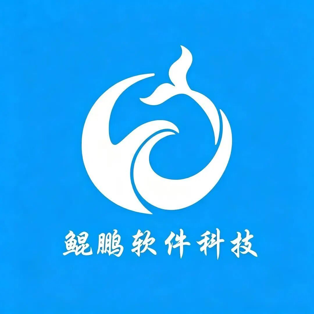 鲲鹏网络科技
