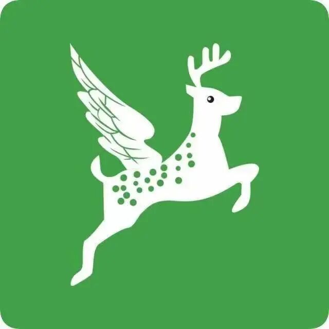 天鹿网络