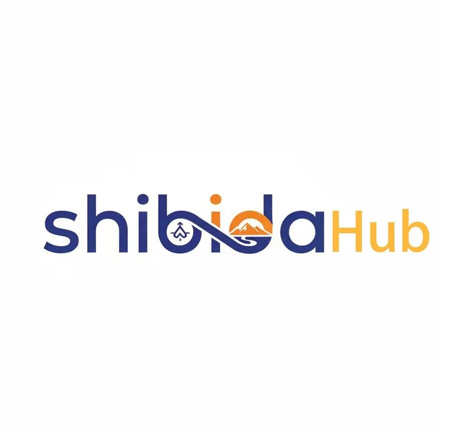 使必达Hub