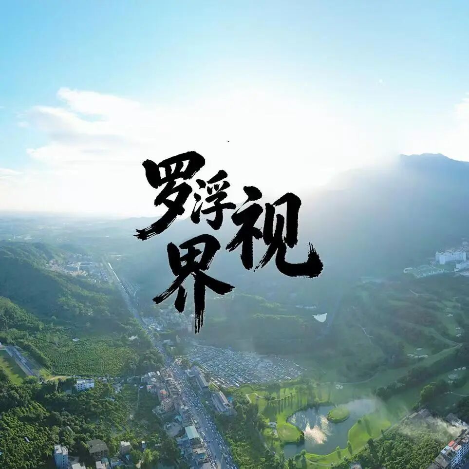 罗浮视界传媒有限公司
