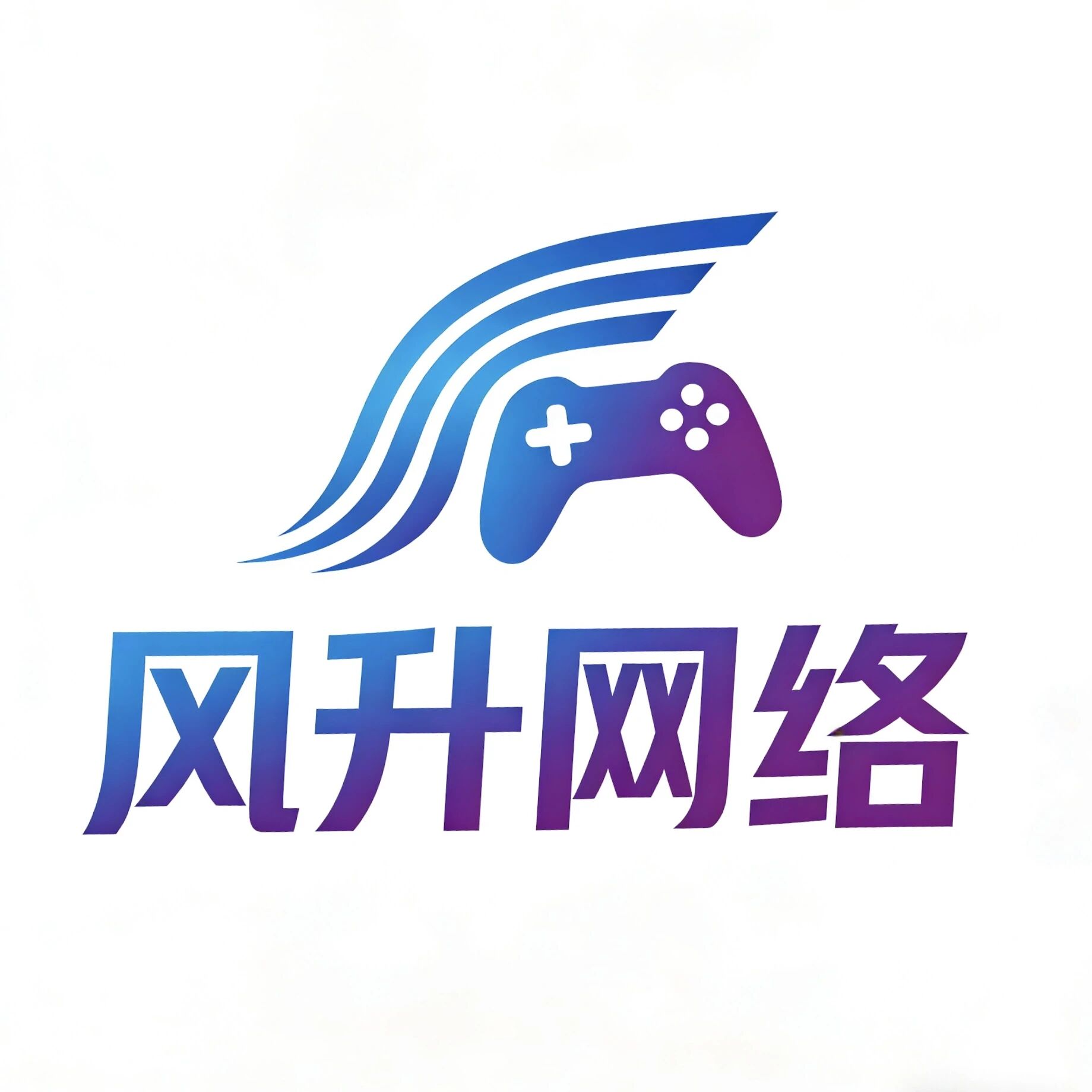 风升网络