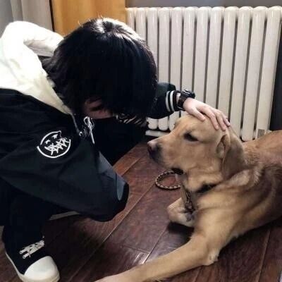 爱家臻享