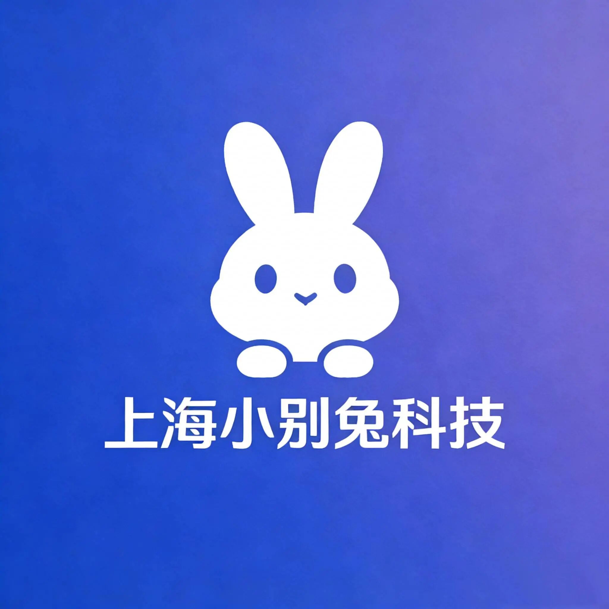 上海小别兔科技