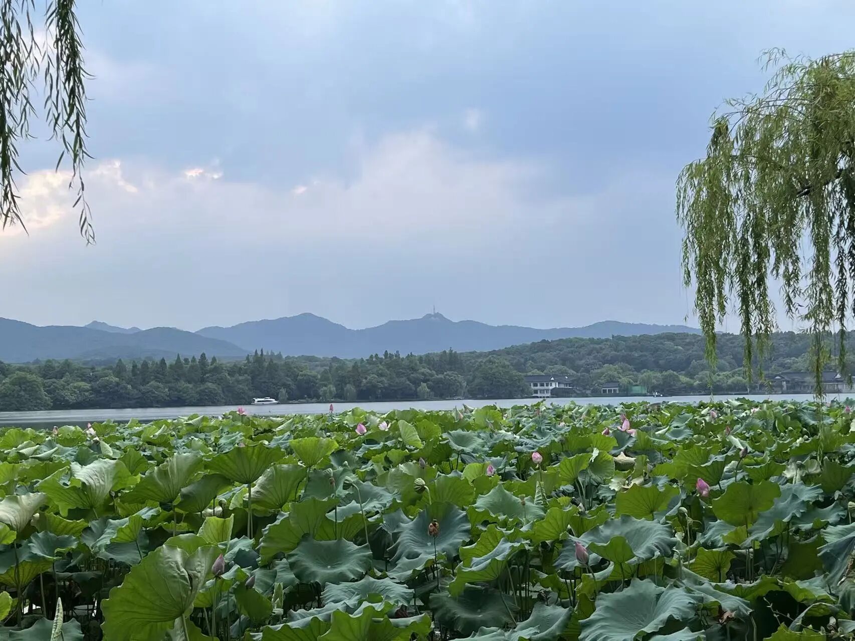 兰湘子