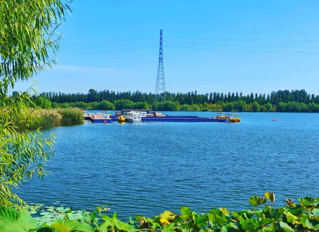 邯郸市永年区洺湖公园图片