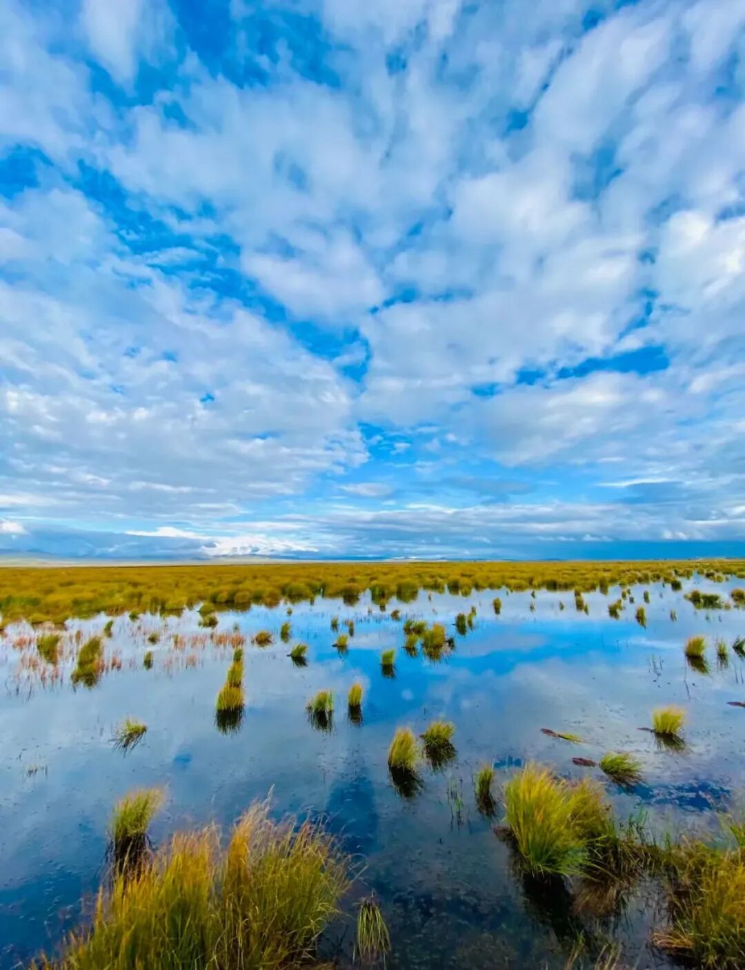 古城松潘县,是四川省历史名城,也是历史上有名的边陲重镇,被称作"川西