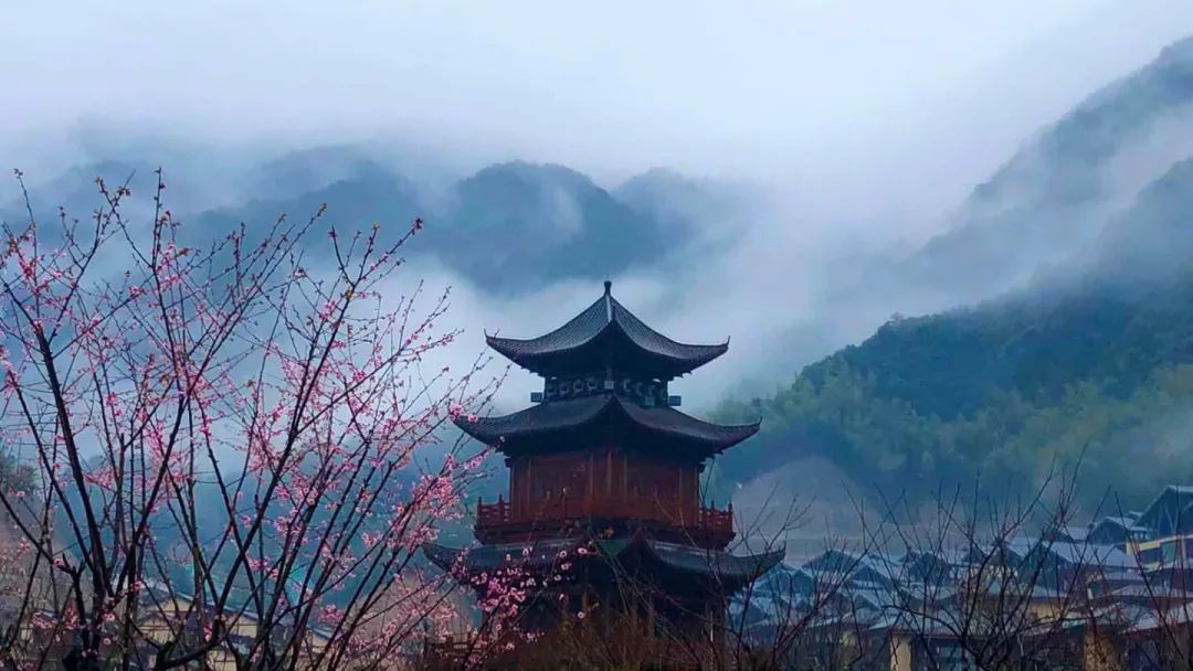 葛仙村五日遊