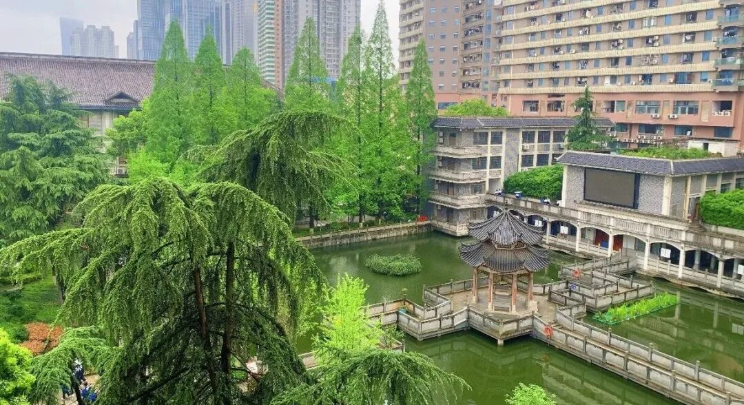 许愿树下的文明叩问-K2502