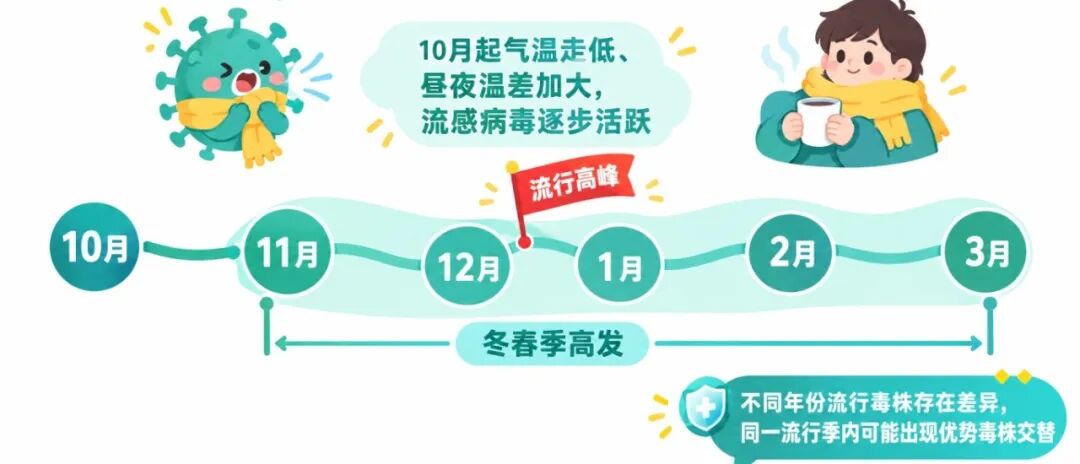 流感高发季节时间轴（青绿渐变+明黄点缀）.jpg